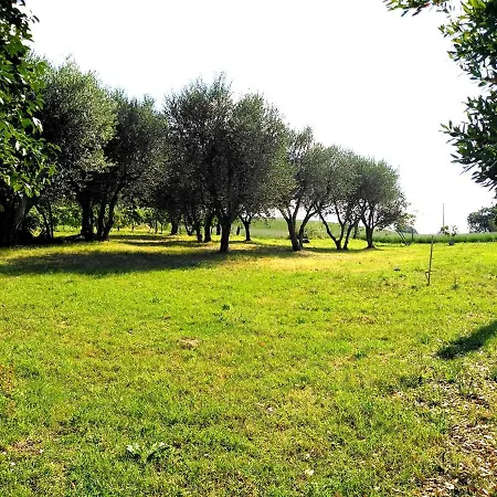 Dei Pianelli