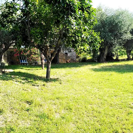 Dei Pianelli Willa *