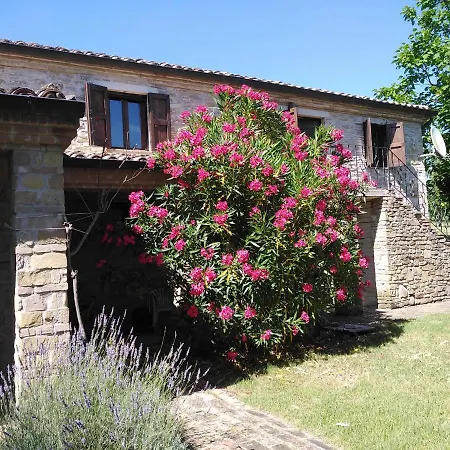 Dei Pianelli *